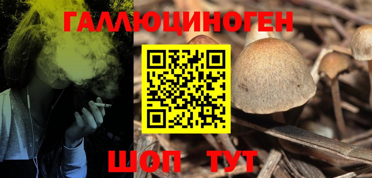 Галлюциногенные грибы мицелий Муром